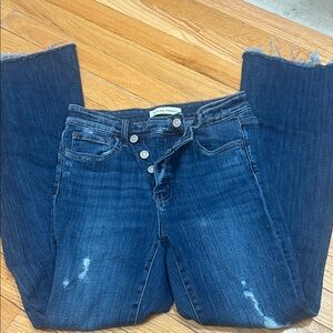 Flying monkey flare denim